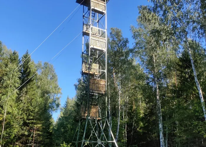 Saare Park 3* Liikuela