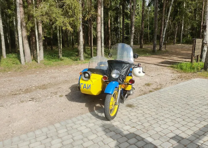 Saare Park 3* Liikuela